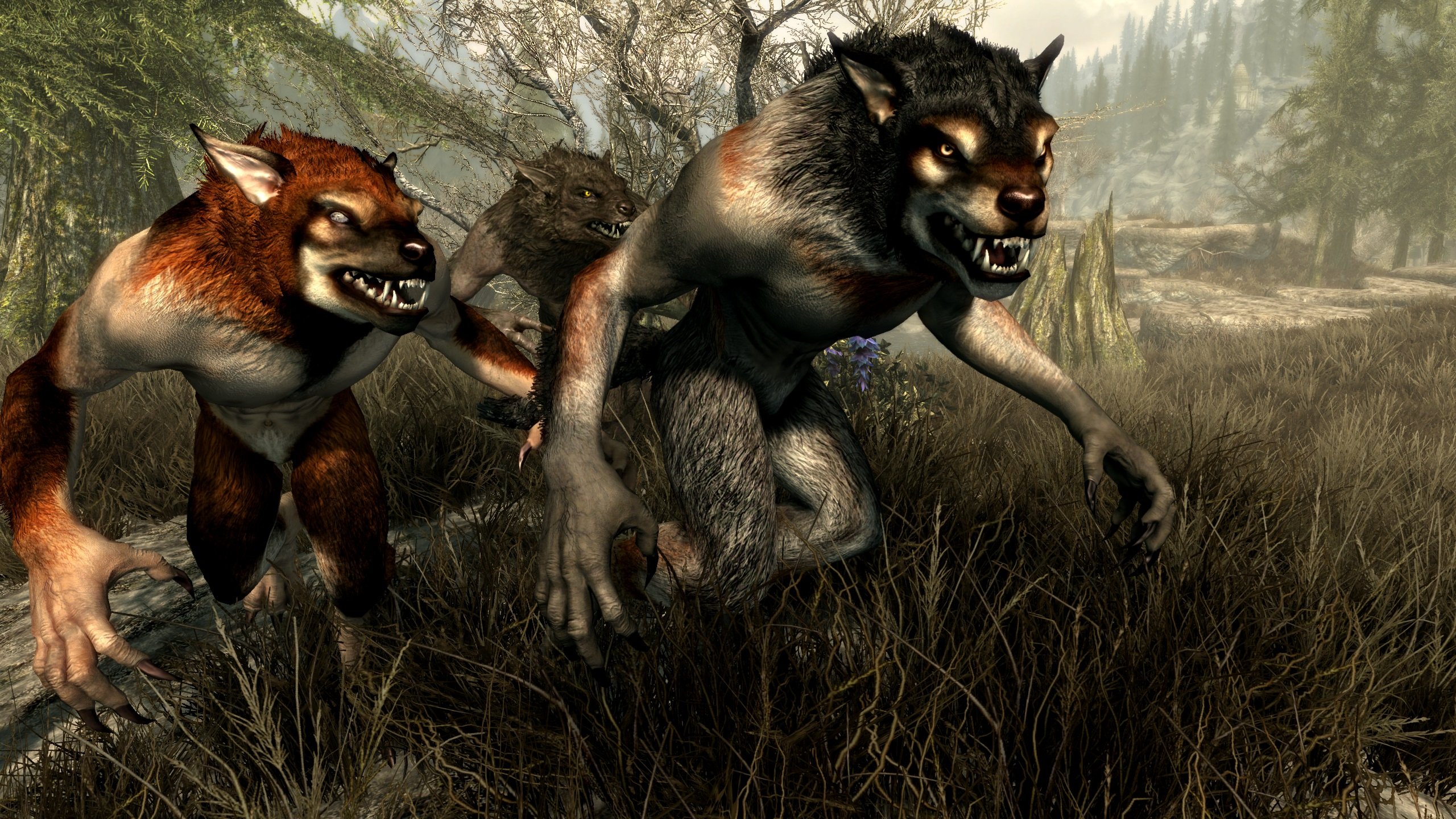 Loup garou skyrim