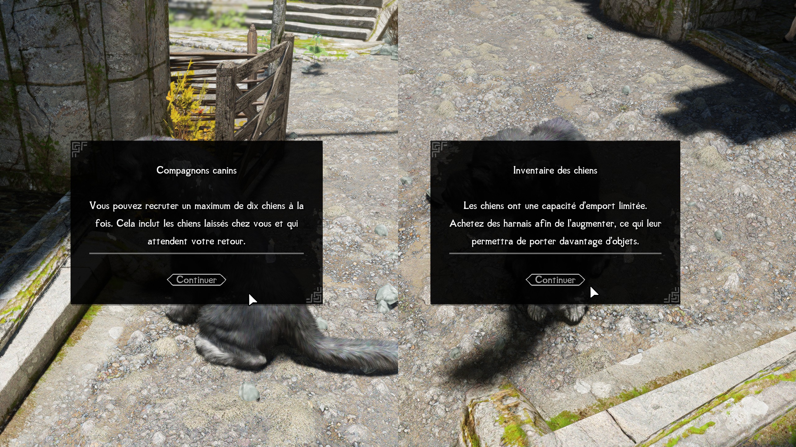 Image du mod