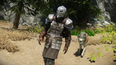 Image du mod