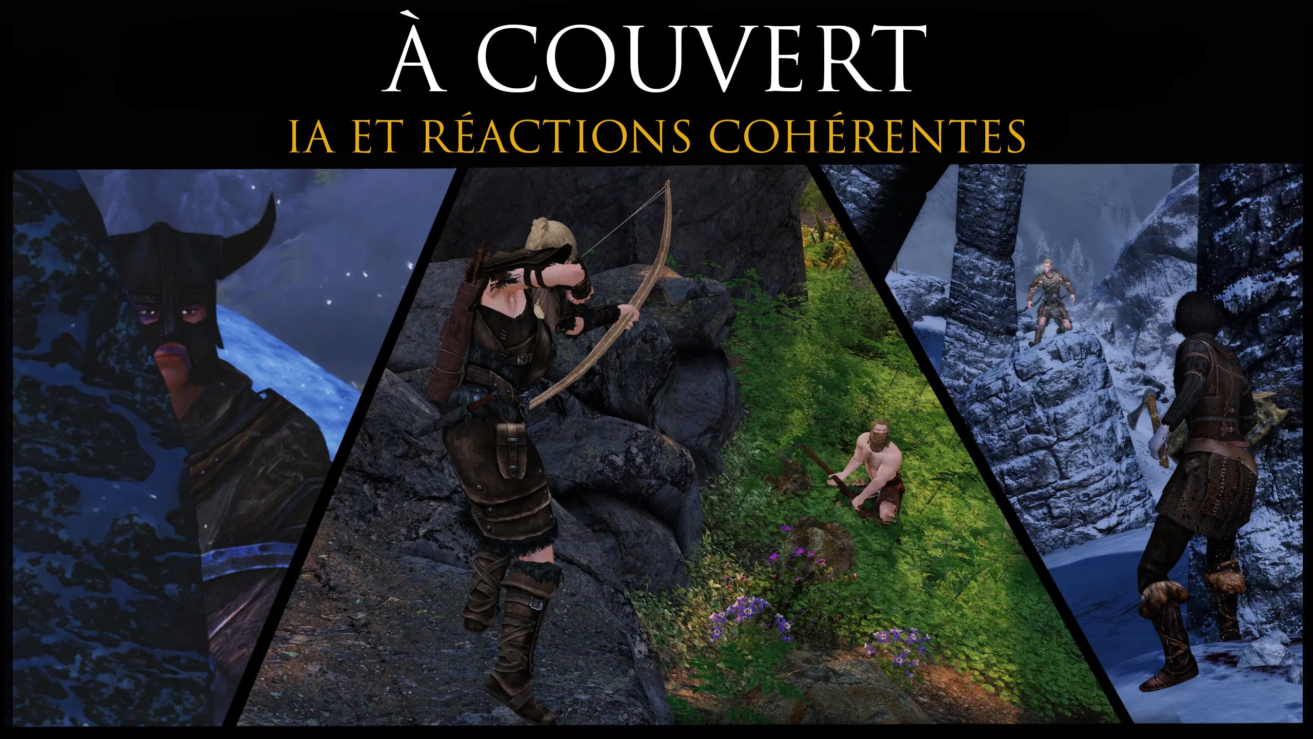 Image du mod