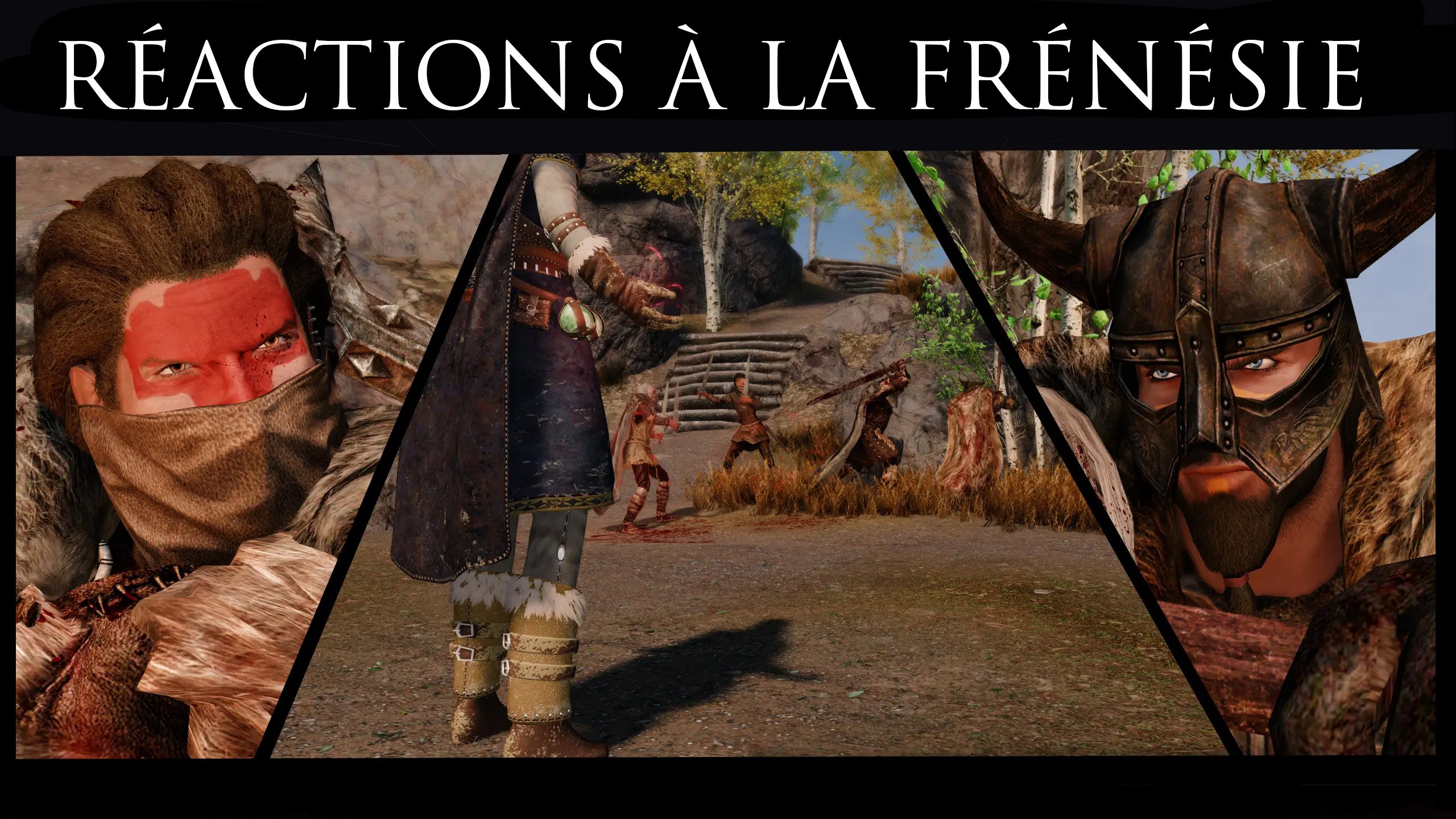 Image du mod