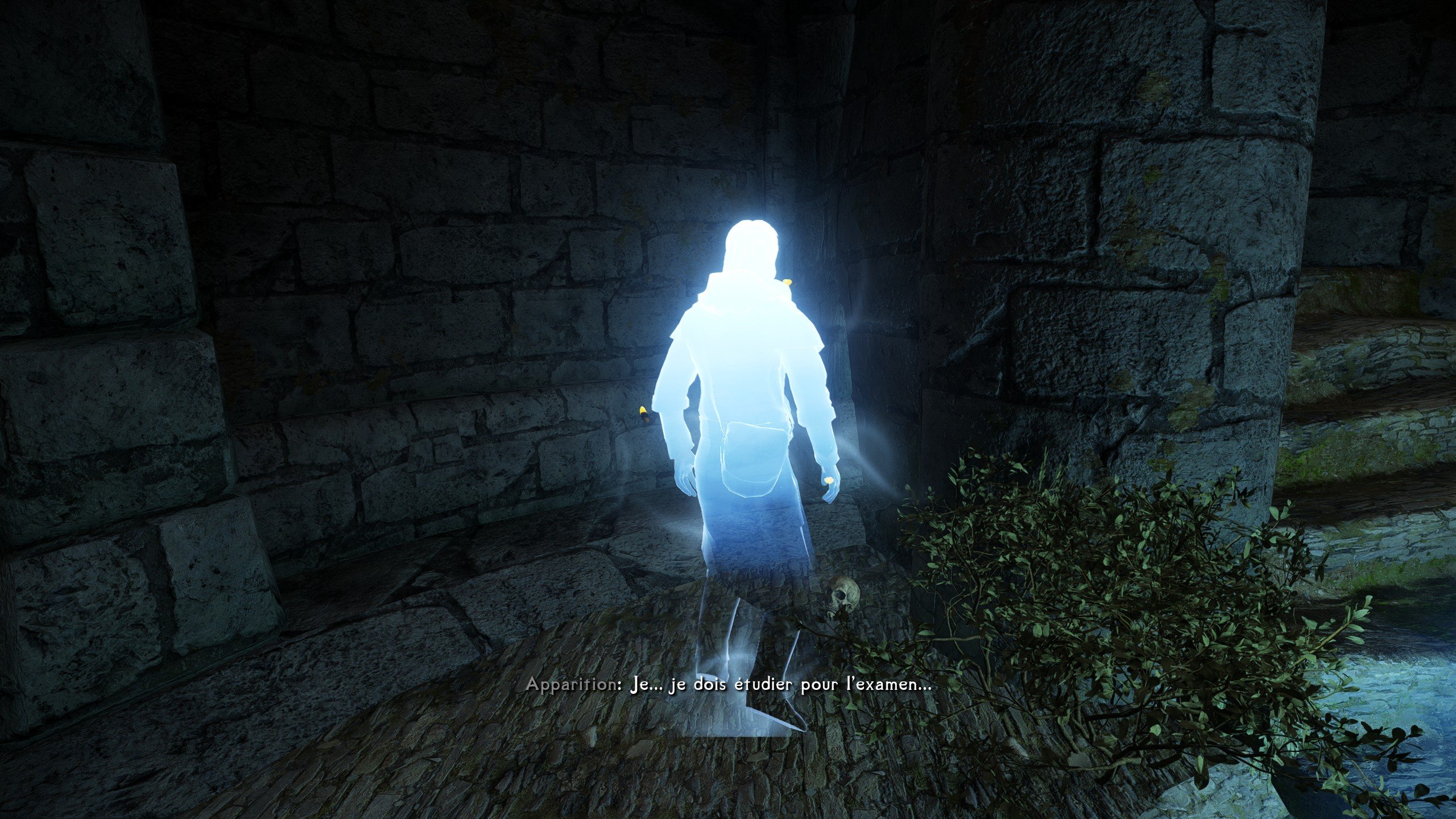 Image du mod