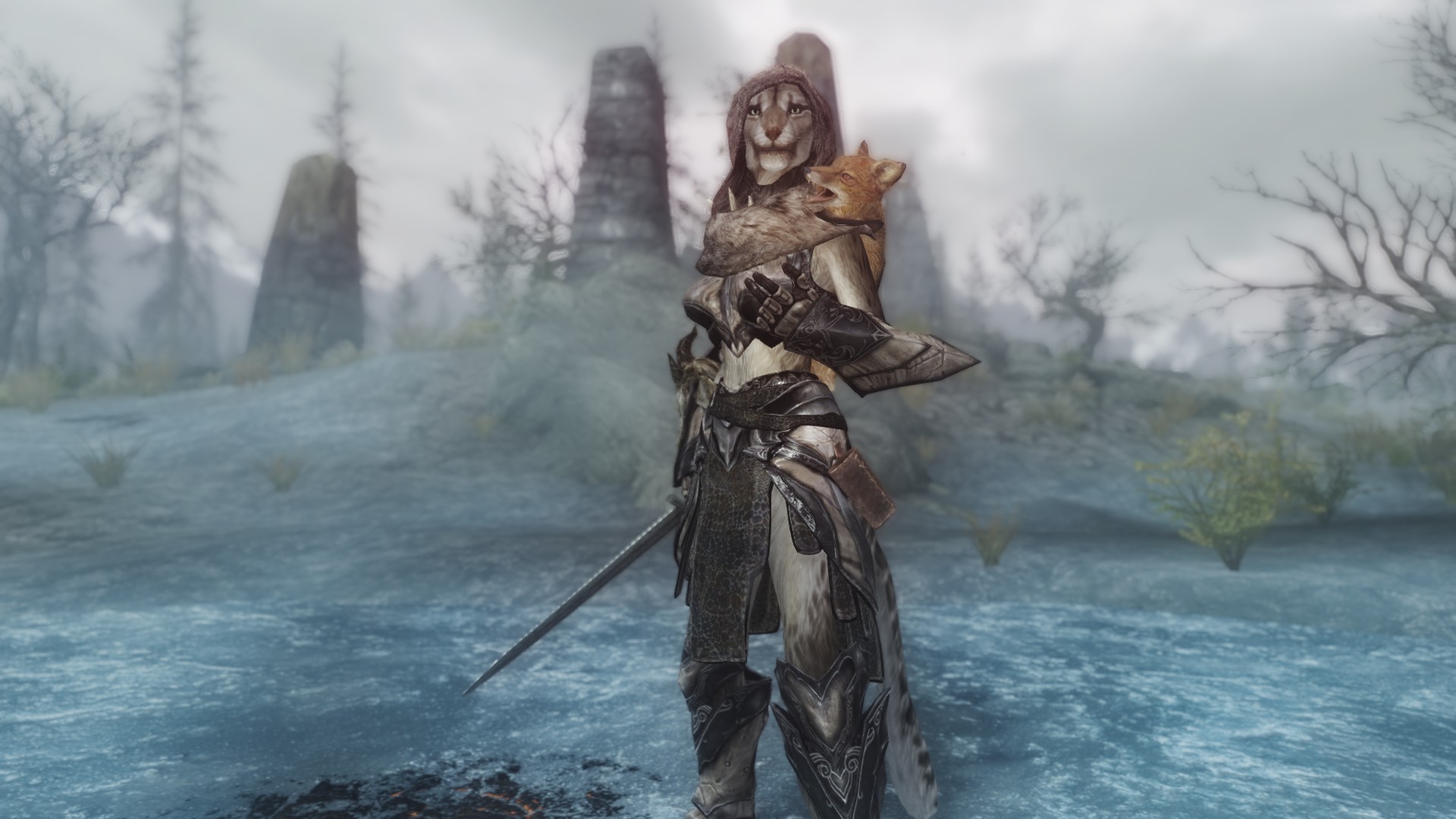 Skyrim Female Armor Mod